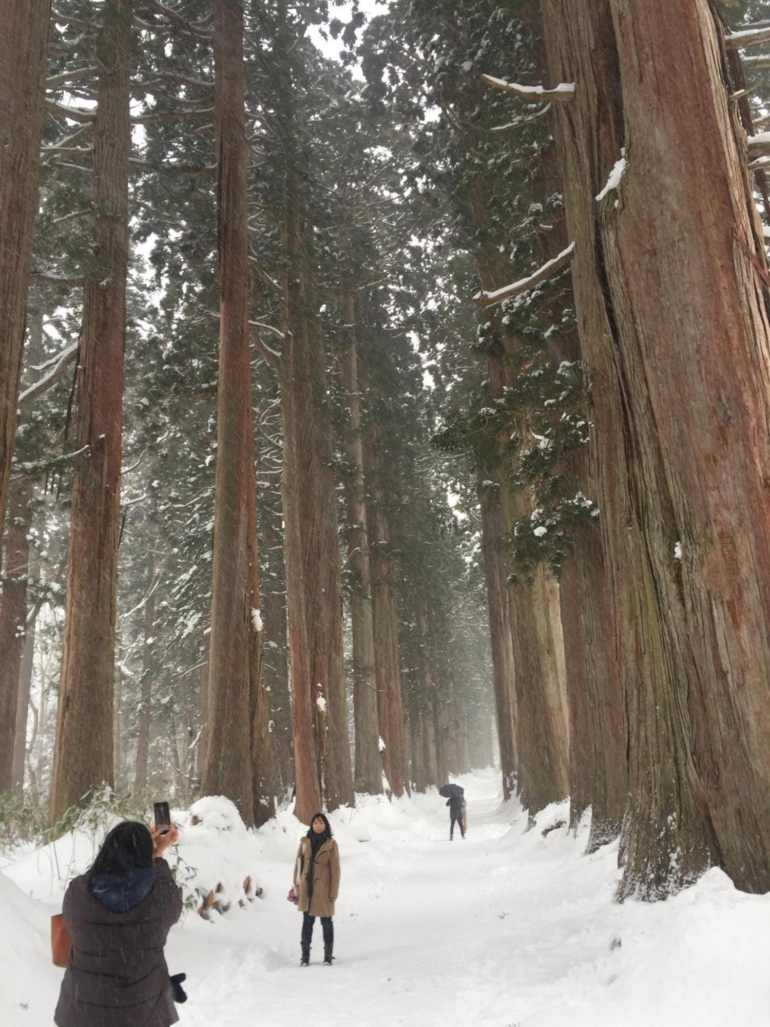 Nojiri Lake Resort Shinano  Luaran gambar
